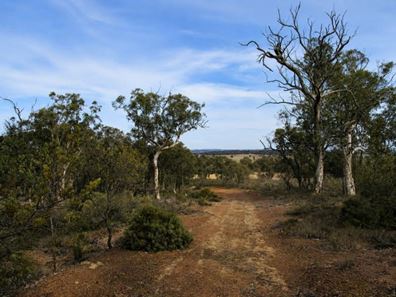 Lot 9981 Dardadine Road, Darkan WA 6392