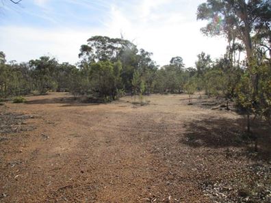 Lot 9981 Dardadine Road, Darkan WA 6392