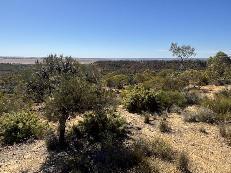 3659 Geraldton Mount Magnet Road, Wicherina WA 6532