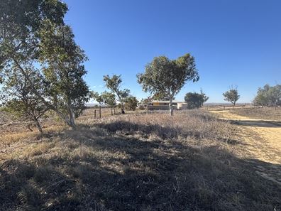3659 Geraldton Mount Magnet Road, Wicherina WA 6532