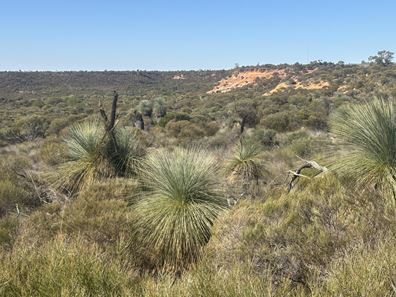 3659 Geraldton Mount Magnet Road, Wicherina WA 6532