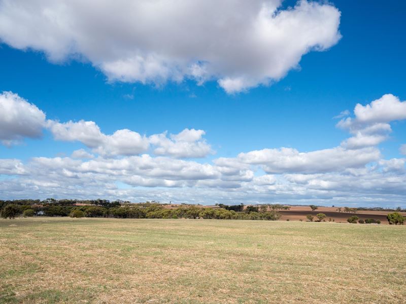 166 Bejoording Road, Bejoording WA 6566