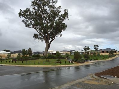 44 Delta Road, Baldivis WA 6171