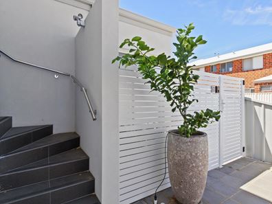 5 Tuttlebee Terrace, Mosman Park WA 6012