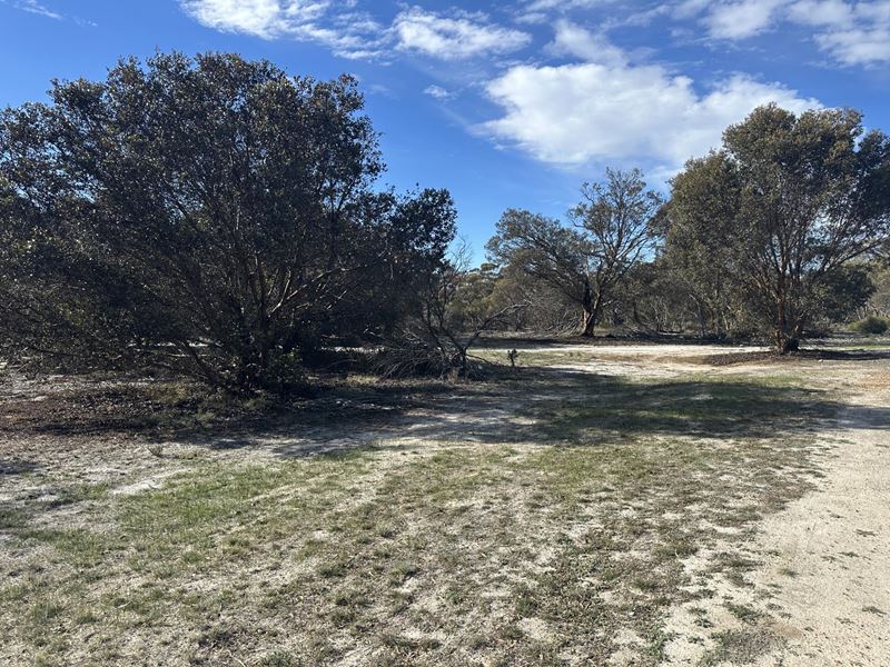 Lot 213,  Carpenter Street, Ongerup