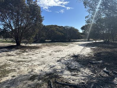 Lot 213,  Carpenter Street, Ongerup WA 6336