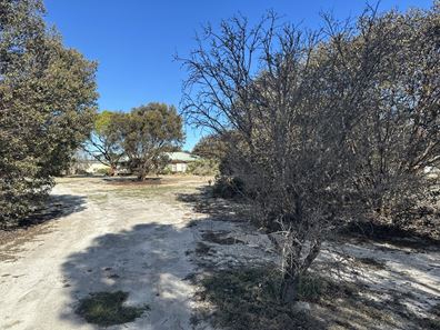 Lot 213,  Carpenter Street, Ongerup WA 6336