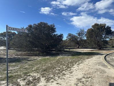 Lot 213,  Carpenter Street, Ongerup WA 6336