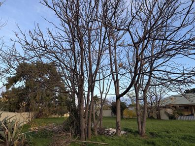5 Plymouth Road, Utakarra WA 6530