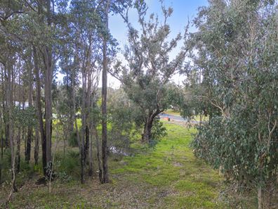 10 Wilson Street, Nannup WA 6275