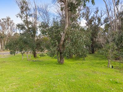 10 Wilson Street, Nannup WA 6275