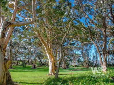 66 Chipana Drive, Little Grove WA 6330