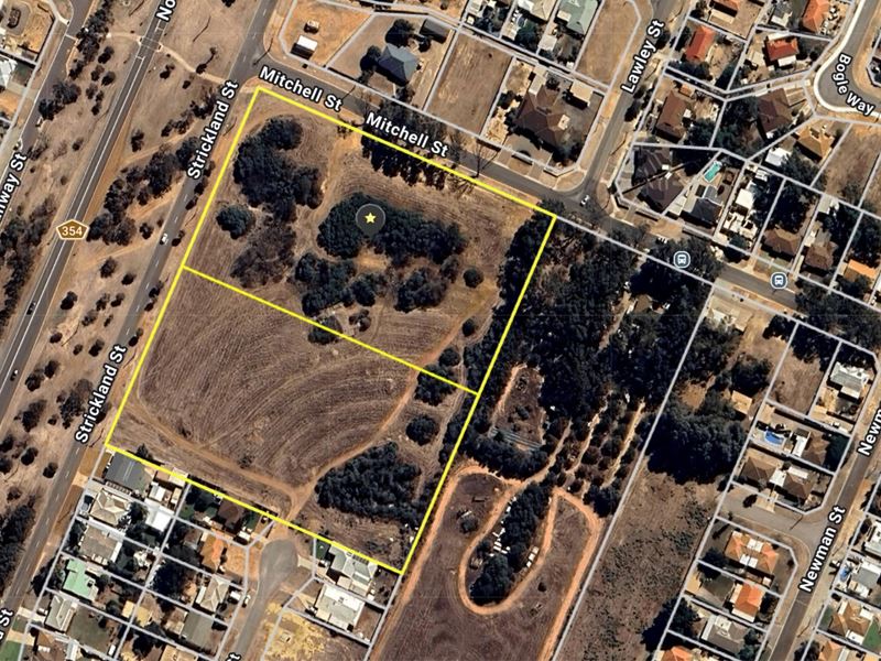 Lot 8289,  Mitchell Street, Spalding