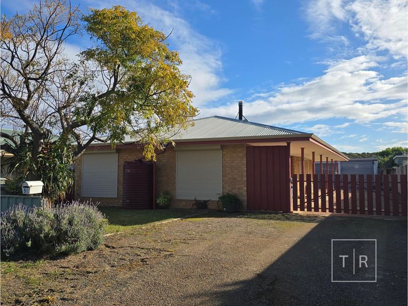 51 Princess Street, Pink Lake WA 6450