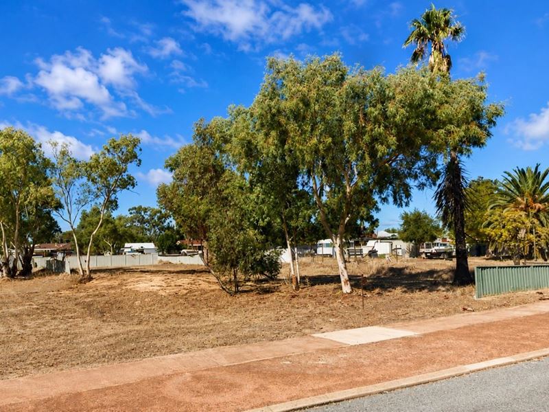 18 Shenton Street, Mingenew WA 6522