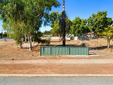 18 Shenton Street, Mingenew WA 6522
