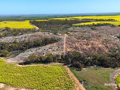 1320 Nukarni West Road, Elabbin WA 6490