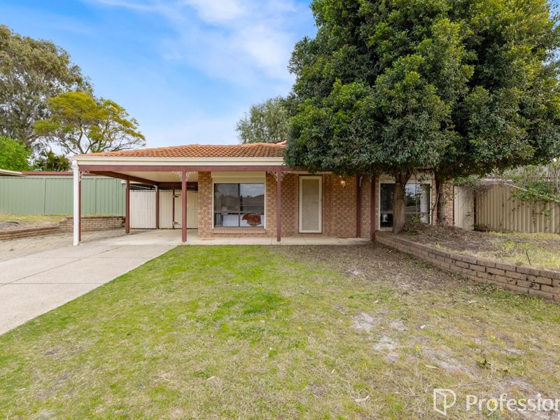 14 Gloucester Court, Willetton WA 6155