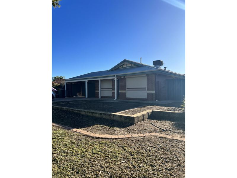 31 Wyperfeld Gardens, Ballajura WA 6066