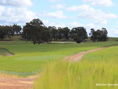 Lots 10632 & 25721 Strange Road, Jelcobine WA 6306