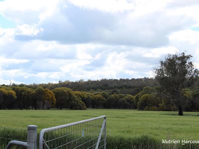 Lots 10632 & 25721 Strange Road, Jelcobine WA 6306