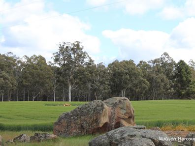Lots 10632 & 25721 Strange Road, Jelcobine WA 6306