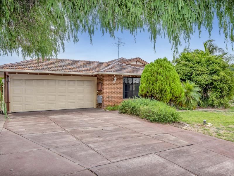 1 Silkwood Close, Halls Head WA 6210