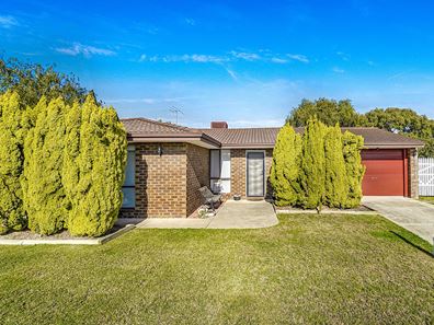 8 Copperhead Avenue, Padbury WA 6025