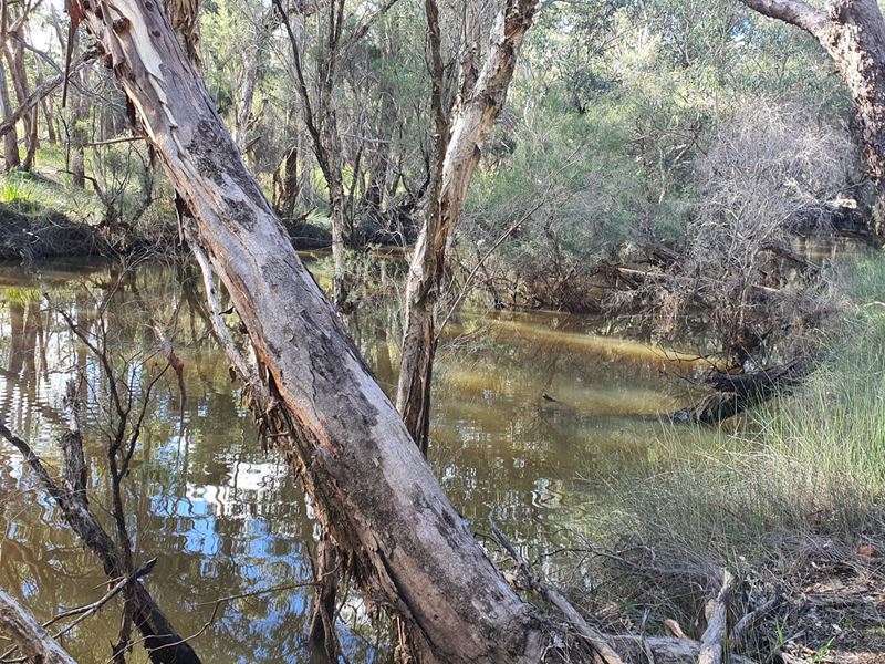Lot 11,  Mogumber West Road, Red Gully WA 6503