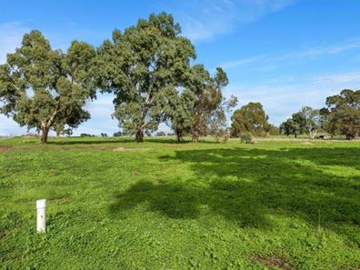 Lot 84,  Carnaby Boulevard, Ginginup WA 6503