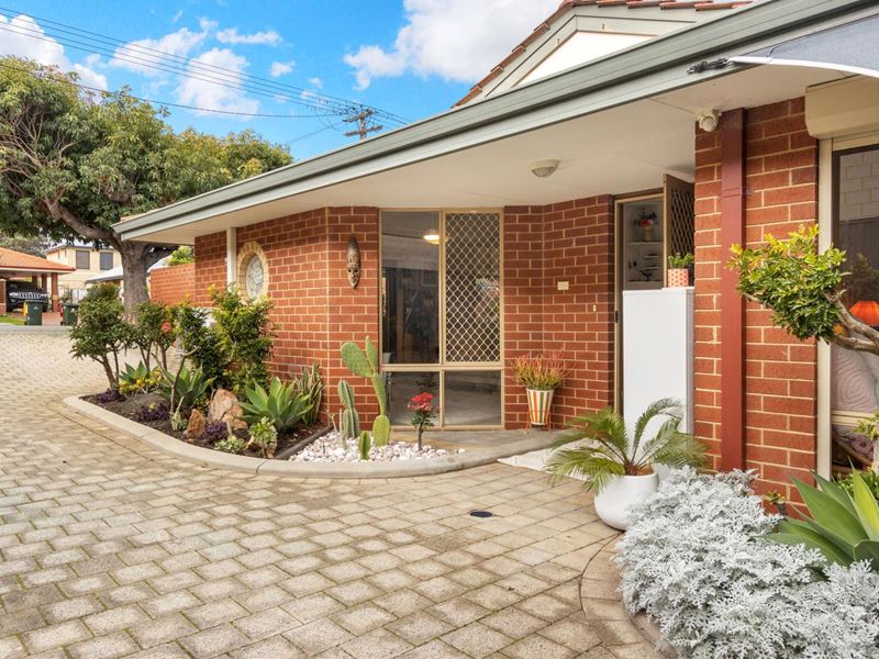 255A Flamborough Street, Doubleview WA 6018