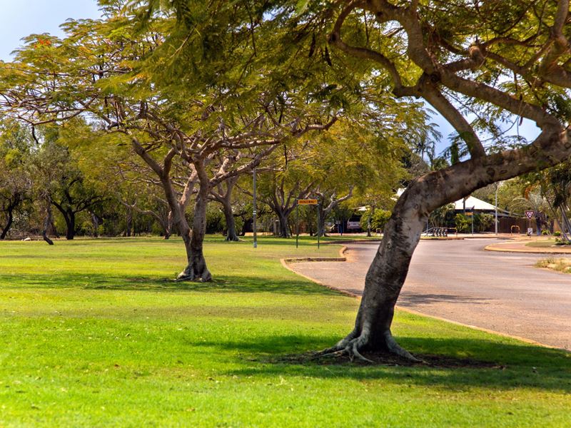 1072 Lapwing Loop, Djugun