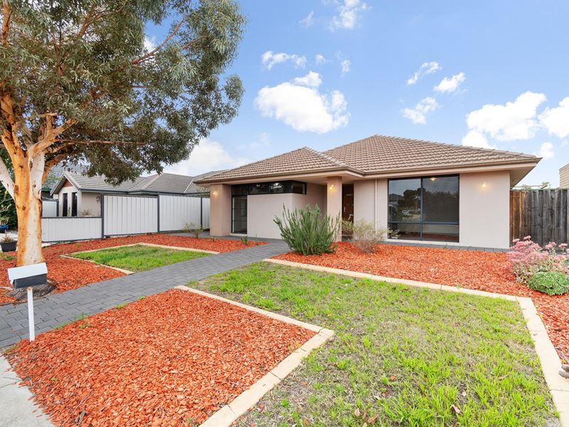 81 Lomas Circle, Ellenbrook WA 6069