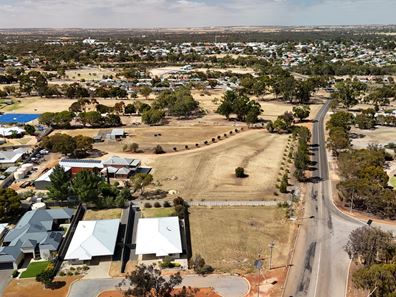 31 Marmion Street, Katanning WA 6317