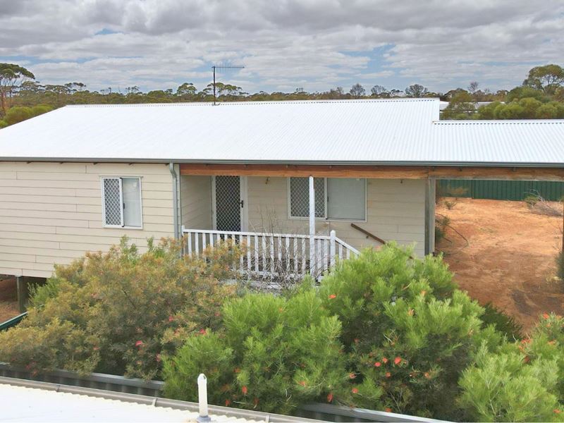 10 Shields Crescent, Wongan Hills WA 6603