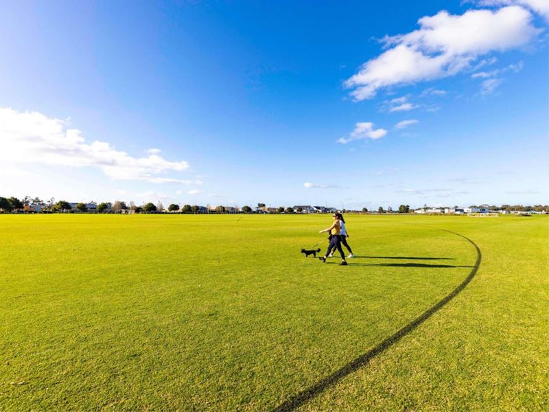 Lot 704, 49 Threefin Circuit, Vasse