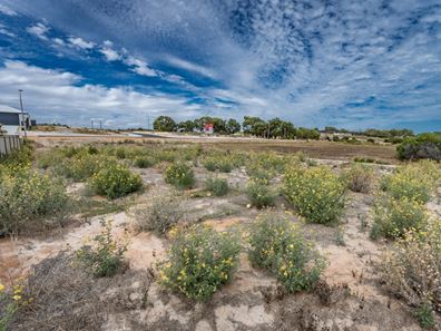 31 Francis Road, Port Denison WA 6525