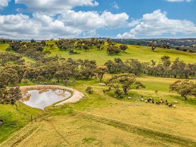 210 Coondle West Road, Toodyay WA 6566