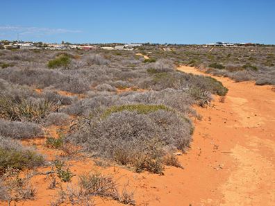 Denham WA 6537