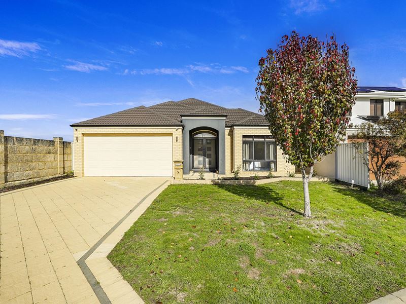 50 Honeymyrtle Turn, Stirling