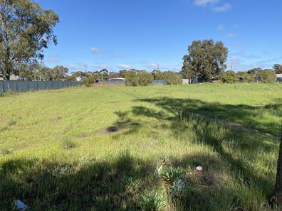 62 Rogers Avenue, Katanning WA 6317