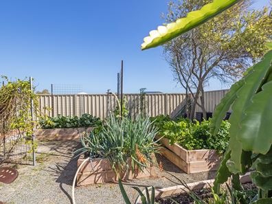 3 Newport Drive, Jurien Bay WA 6516