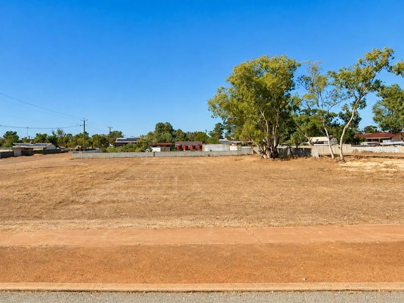 16 Shenton Street, Mingenew WA 6522