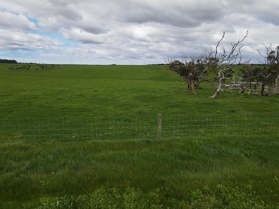 67 Minotaur Loop, Drome WA 6330