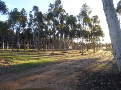 Lot 7244 Tullets Road West, Popanyinning WA 6309