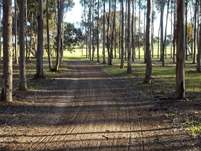 Lot 7244 Tullets Road West, Popanyinning WA 6309