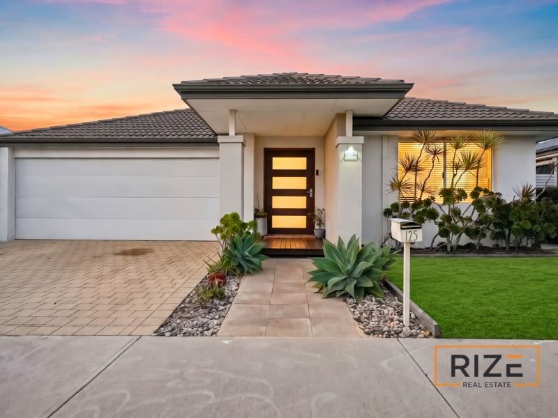 125 Boomerang Loop, Banksia Grove WA 6031