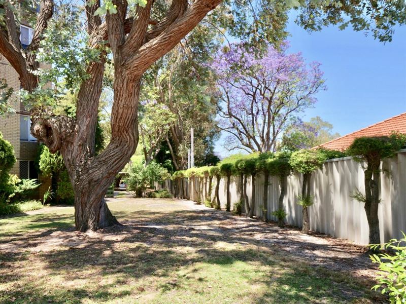 1/26 Stanley Street, Mount Lawley