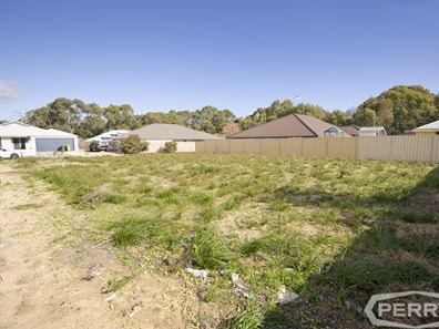 3 Ringtail Path, Dawesville WA 6211