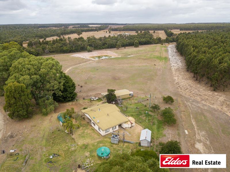 390 Pile Road, Forest Hill